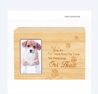 China Viable Factory Wholesale Cardboard Pet Casket Reliable Quality for sale