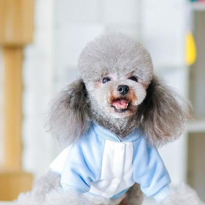 China Stocked Luxury Wholesale Summer Cat Dog Clothes From China Factory for sale