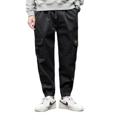 China Custom Wholesale Anti-Wrinkle Logo Sale Color Cotton Cargo Pants Plus Size Men's Cargo Pants Warm Loose Pure Pocket for sale