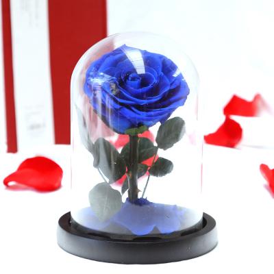 China Long Lasting Hot Preserved Flowers Dried Forever Artificial Natural Eternal Immortal Preserved Flowers Roses For Love for sale