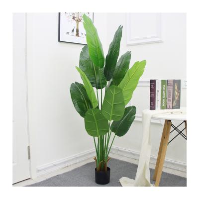 China Realistic artificial bonsai snake plant/artificial agave ornamental plant for home decor for sale