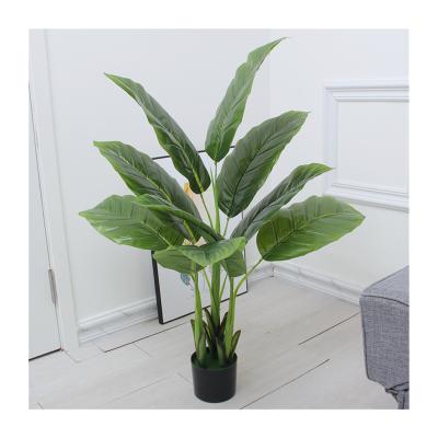 China 2021 Variety Size High Quality Lifelike Artificial Green Plant For Home Decor for sale