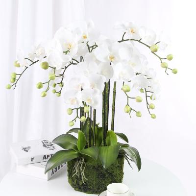 China Durable Artificial Flower For Home Artificial Plant Branch Flower Orchid Phalaenopsis Decor Artificial Plant Orchid for sale