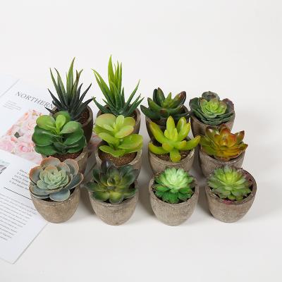 China Mini Artificial Succulent Plants Decorated with Realistic Plant Plastic Flowers for sale