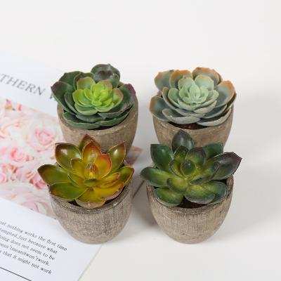 China Artificial Succulent Various Realistic Wholesale Plant DIY Mini Plastic Plants For Home Decoration for sale