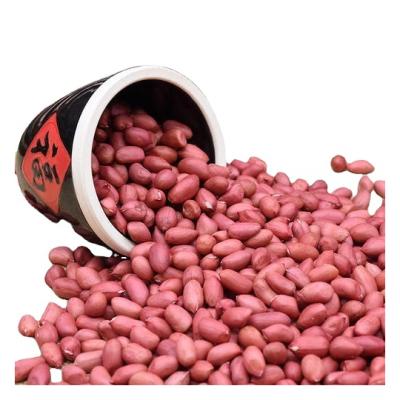 China Hot Sale Wholesale High Quality Dried Organic Nuts Shelled Natural Red Peanuts for sale