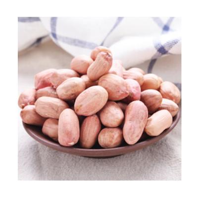 China High Protein Dried Peanuts from Best Quality Peanut Kernels for sale