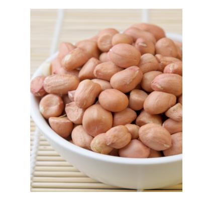 China China Factory Supply Rosated Peanuts Dried Delicious Blanched Peanut Kernels for sale