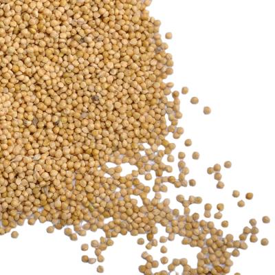 China Dry Natural Yellow Broomcorn Millet For Bird Feeds for sale