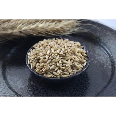 China Appropriate price limited time supply dried oat fiber grain top quality wholesale oats for sale