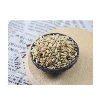 China Dry Oat Kernels High Quality Nutrition Hulled Naked Oats Wholesale for sale