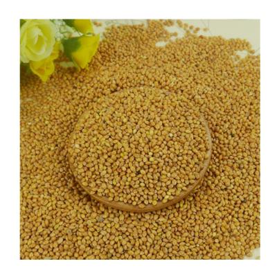 China China Wholesale Dry Yellow Hulled Broomcorn Dried Millet For Bird Feed for sale