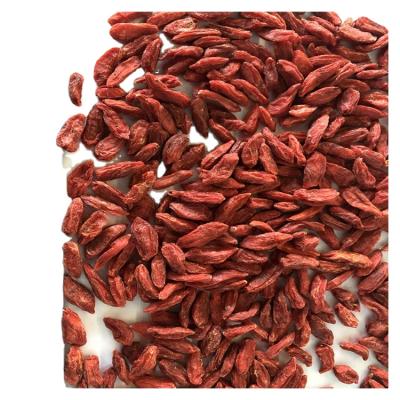 China Factory Supply Dried Bargain Price Freeze Dried Goji Berry Dried Wolfberry for sale