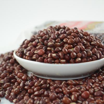 China Size Level Quality Dried Azuki Beans For Products Human Adzuki Bean for sale