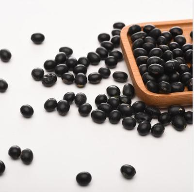 China Dry Chinese Black Soybean Soy Bean With Yellow Core Hot Selling for sale