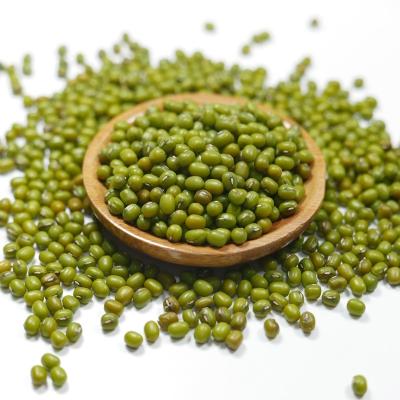 China Main grade dry green mung beans for sprouting with competitive price in sale mung beans for sale