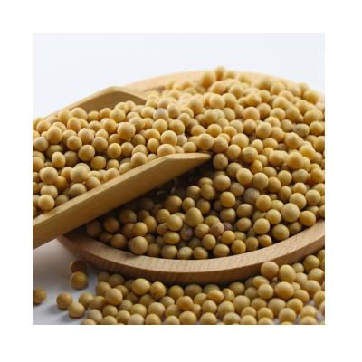 China Dried Non GMO Yellow Soy Beans High Protein China Origin for sale