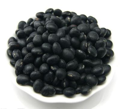 China Quality Guaranteed by Low Price Dry Bean Packaging Authentic Natural Black for sale