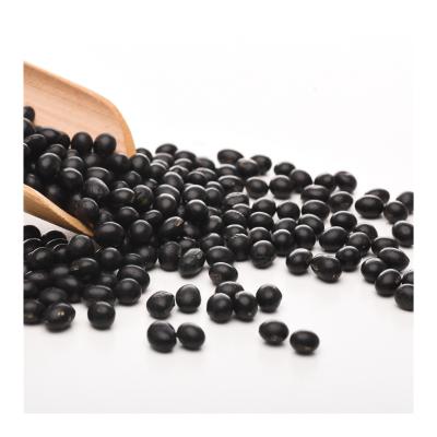 China Factory Supply Bargain Price Dried Healthy Whole Grain Black Beans for sale