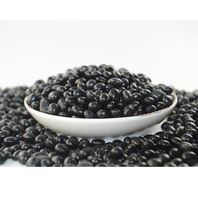 China Hot Selling Special Dry Soybean Organic Black Beans Premium Vacuum Packing Black Beans for sale