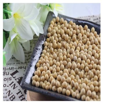 China Dry Made in China Special Hot Selling Yellow Soy Bean Common Dry Beans Yellow for sale