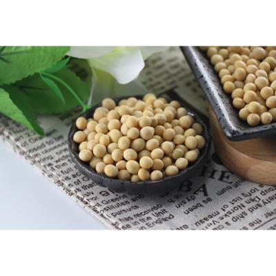 China Various Cheap Hot Sale Good Quality Dried Bean Common Dried Yellow Beans Yellow Yellow for sale