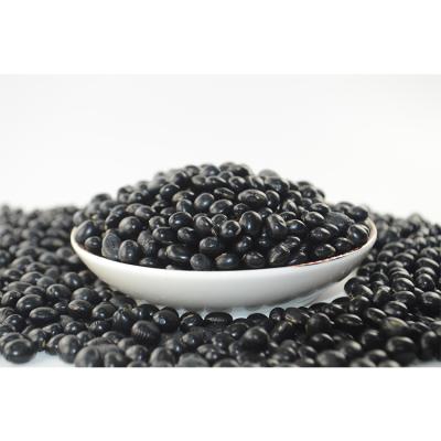 China 2021 New Product Hot Selling Kidney Dry Black Beans Black Bean Price for sale