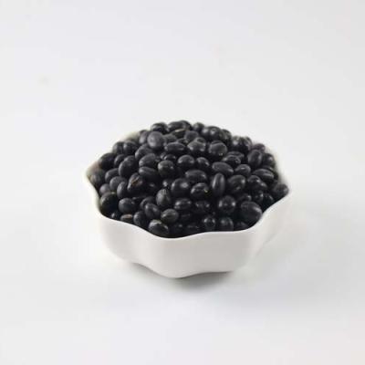 China High Quality Black Soybean Dry Bean Raw Black Matpe Beans Professionally Manufactured for sale