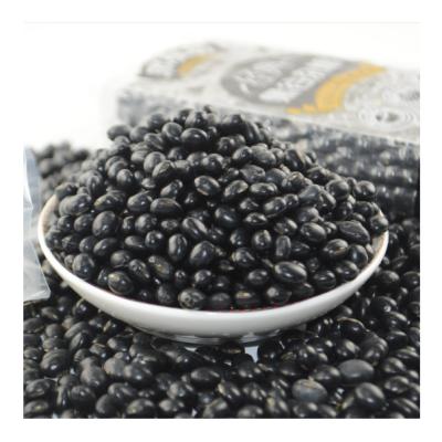 China China High Protein Black Soybeans Dry Soy Beans On Hot Sale for sale