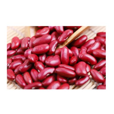 China Dry 2021 New Crop Pinto Beans Drk Red Kidney Bulk Dry Beans for sale