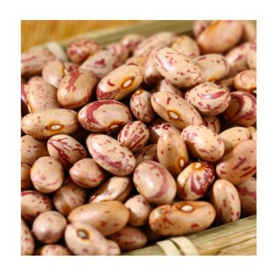 China Cheap Dried Light Spotted Kidney Beans for sale