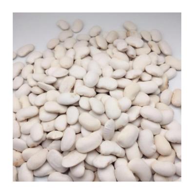 China Newest Chinese culture dried bulk white kidney big beans with cheap price for sale