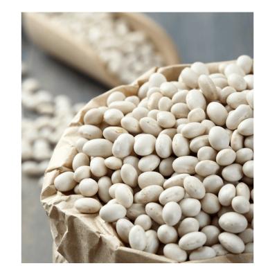 China Tall White Kidney Beans Dried Chinese Non-GMO Organic Sugar Beans for sale