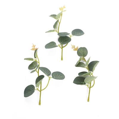 China Best-selling Decorative Eucalyptus Leaf Money Leaves Artificial Money Tree Plant For Wedding Decoration for sale