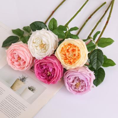 China Garden.Hotel.Home.Office Austin Artificial Rose Peony Latex Real Touch Artificial Rose Flower Single Stem Good Quality Silk Flowers for sale