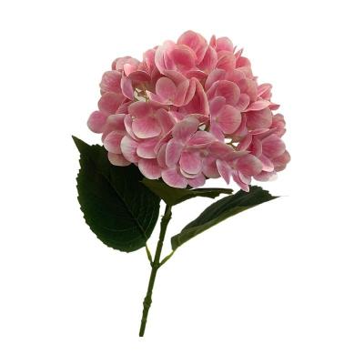 China 3D print real touch hydrangeas petals latex hydrangea artificial 3D print real touch hydrangeas flowers artificial hydrangea for wedding for sale