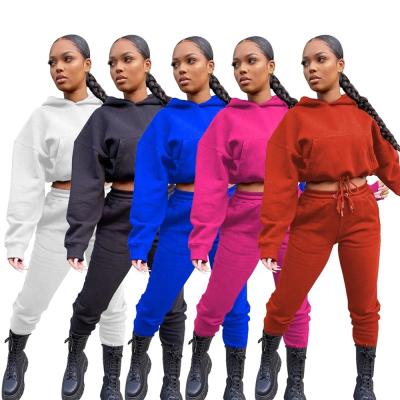 China Anti-wrinkle QZ8138 - Hot Sales Woman Winter Cropped Hoodie Joggers Sets Fashion 2 Piece Jogger Set Women for sale