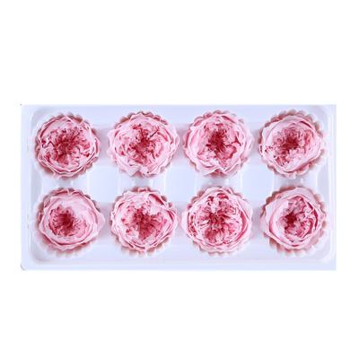 China Environmental protection Austin green cheap frozen preserved roses 4-5cm bud in box for sale