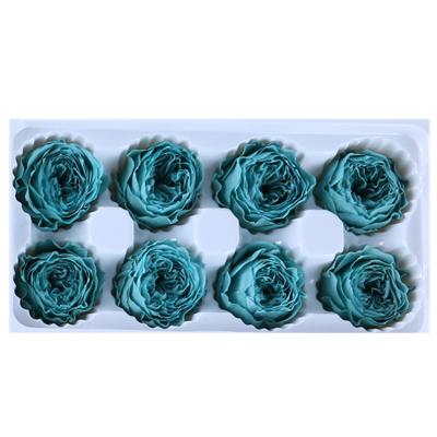 China High Quality 4-5cm Natural Fresh Longlasting Rose Austin Preserved Roses Bud In Box for sale