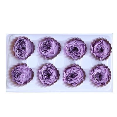 China Cheap Celebration Factory Price Florist 4-5cm Preserved Austin Roses Bud In Box for sale