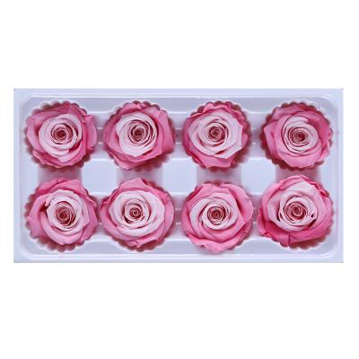 China Wholesale Colorful Flower Supplier 4-5cm Two Tone Beautiful Preserved Roses Buds In Box for sale