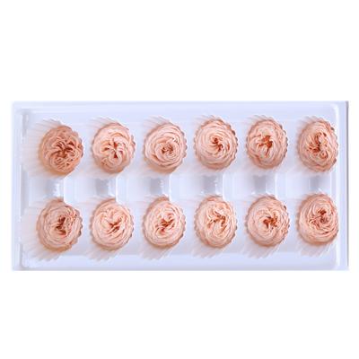 China Fashional Wholesale Durable 3-4cm Chocolate Austin Preserved Roses Buds In Box for sale