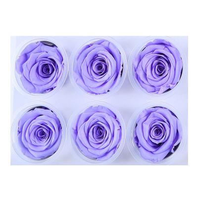 China Beautiful Green Violet Rose Flower Head Preserved Environmental Protection Flower Heads For Wedding Decor Rose 5-6cm Eternal Lasting for sale