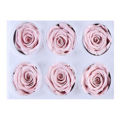 China Green Environmental Protection Newly Preserved Grade 5-6cm One Real Bare Powder Rose Flower Rose Head for sale