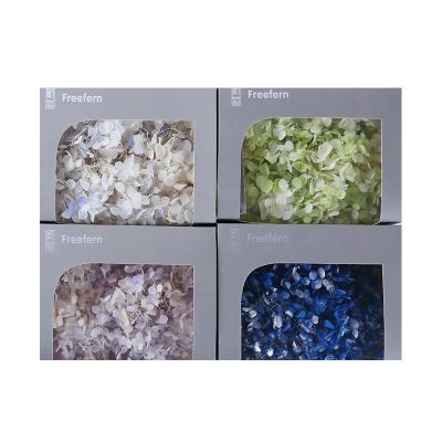 China Lovely Green Environmental Protection A Box Dimming Color Preserved Hydrangea 20g Grade for sale