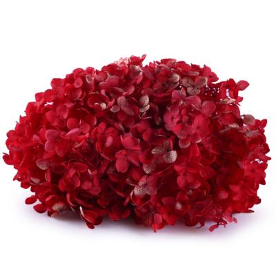 China Manufacturer Wholesale Wedding Flower Green Wall Decoration Environmental Protection Hydrangea Eternal Preserved Flowers For Wedding for sale