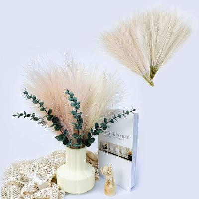 China Real natural dry pampas grass for wedding home decoration dried flower bouquets natural rush for sale