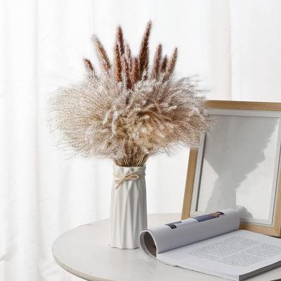 China The Natural Chinese Style Home Decoration Flower Decoration Pampas Grass The Natural Reed Dried Flower Bouquets for sale