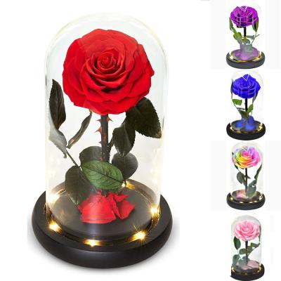 China Perfect Gift Large Roses in Glass Balls at Low Prices Rose Dome Preserved Protected Superior for sale