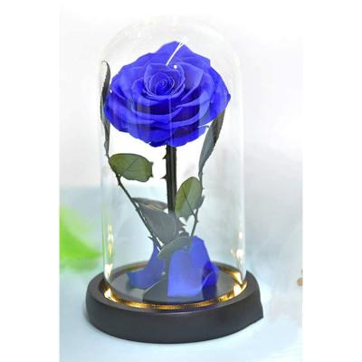 China Green Party Timeless Creative Decorative Canned Rose Glass Dome Environmental Protection LED Gifts for sale